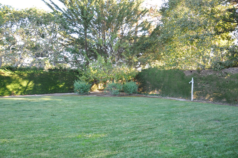 Flat corner lot with grass backyard and bushes.